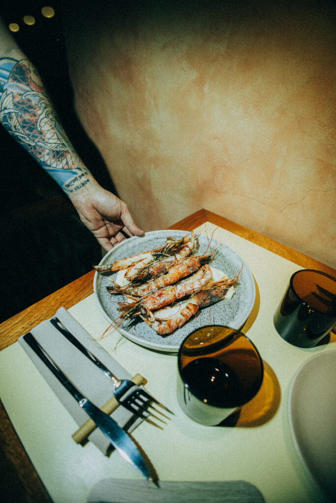 Opt web enero 2026 by @abelrock (120)