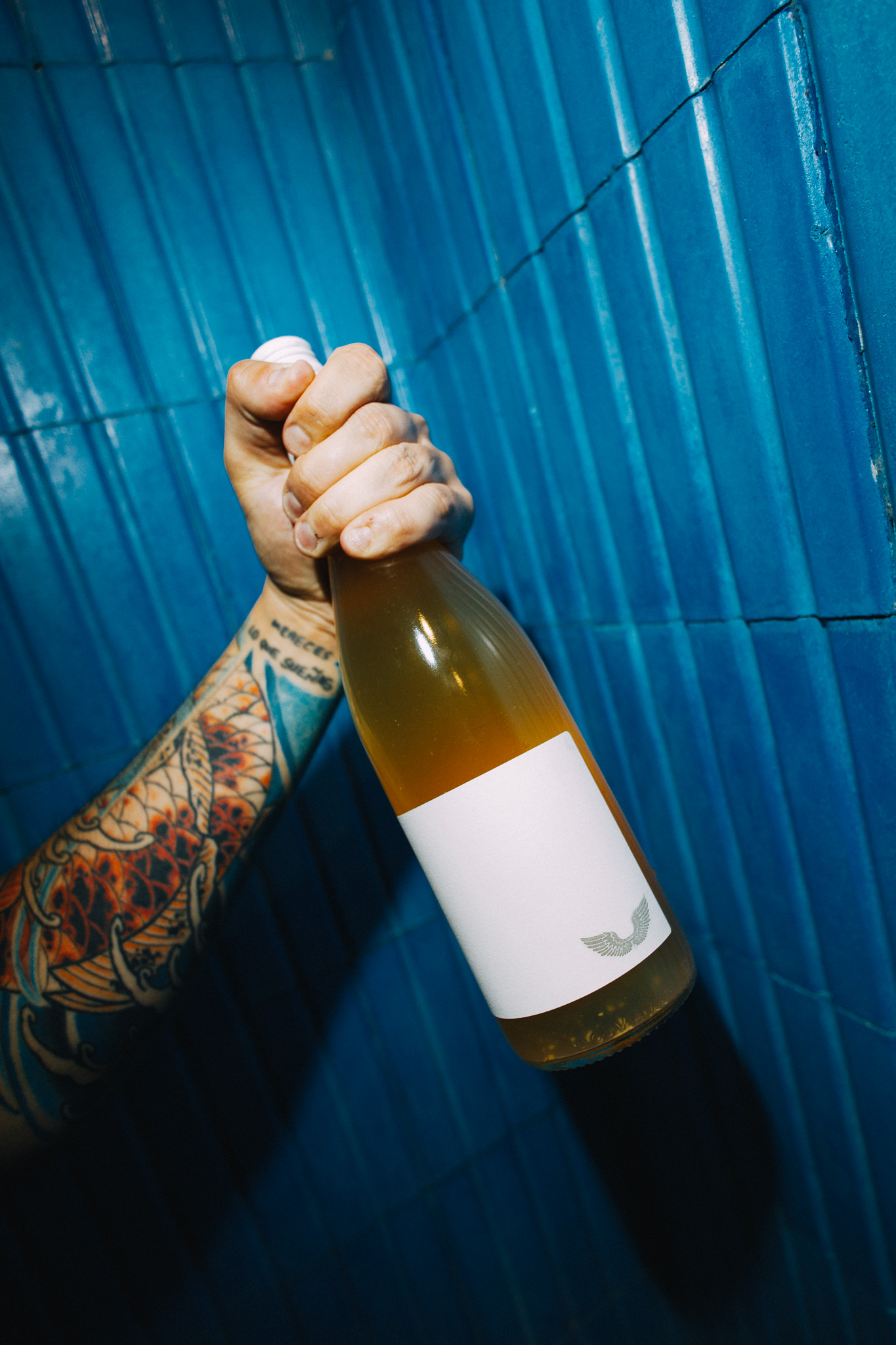 Opt web enero 2026 by @abelrock (128)